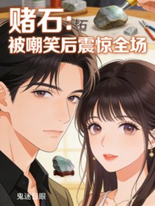 《赌石:被嘲笑后震惊全场》