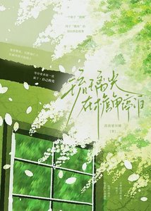 《琉璃光在檐角停泊》