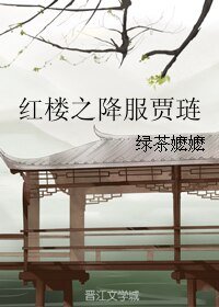 (BG/红楼同人)红楼之降服贾琏