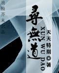 《寻无道》