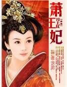 《萧王妃》