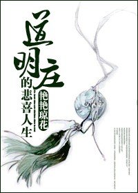 （流星花园同人/BG）道明庄的悲喜人生