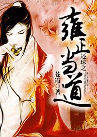 （BG/还珠同人）还珠之雍正当道