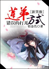 《(BL/新笑傲同人)莲弟错误的打开方式》